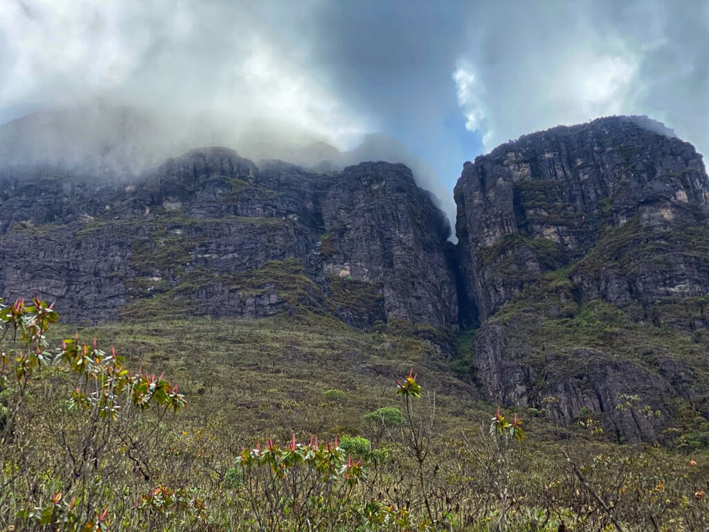 pico da neblina expedition