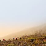 tourists_morning_trekking_pico_da_neblina