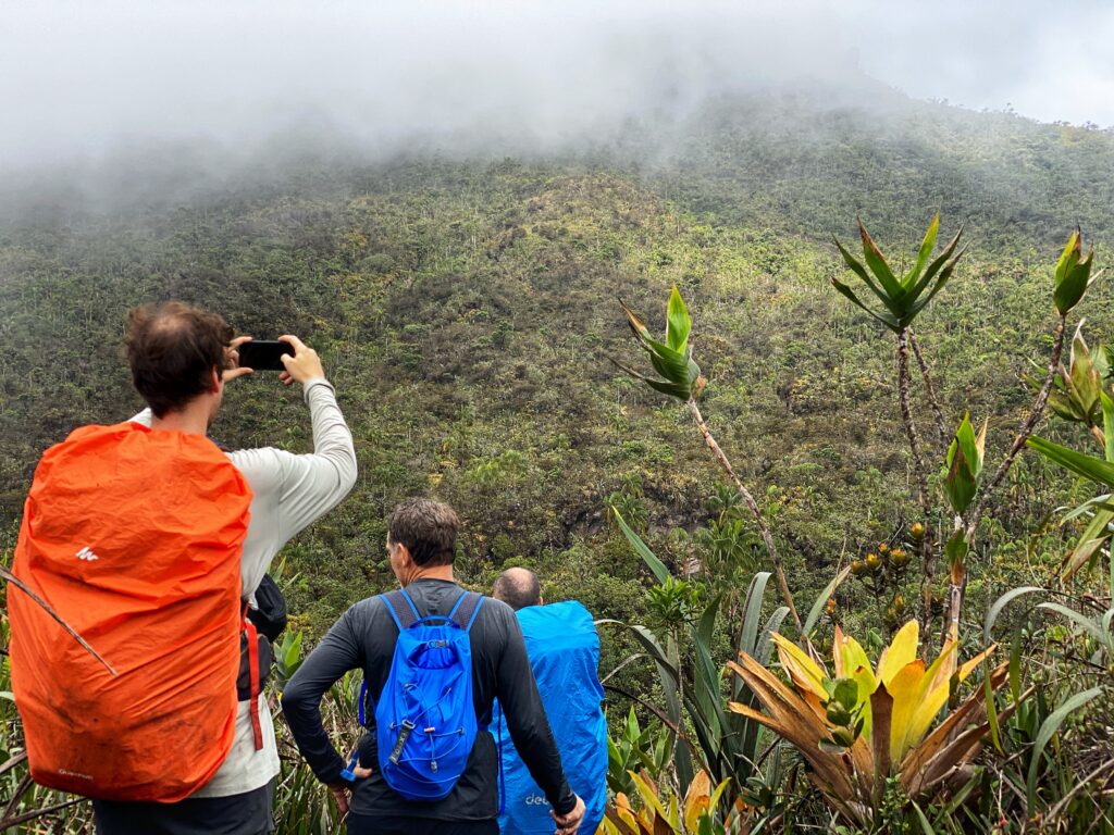 tourists_trekking_pico-da-neblina