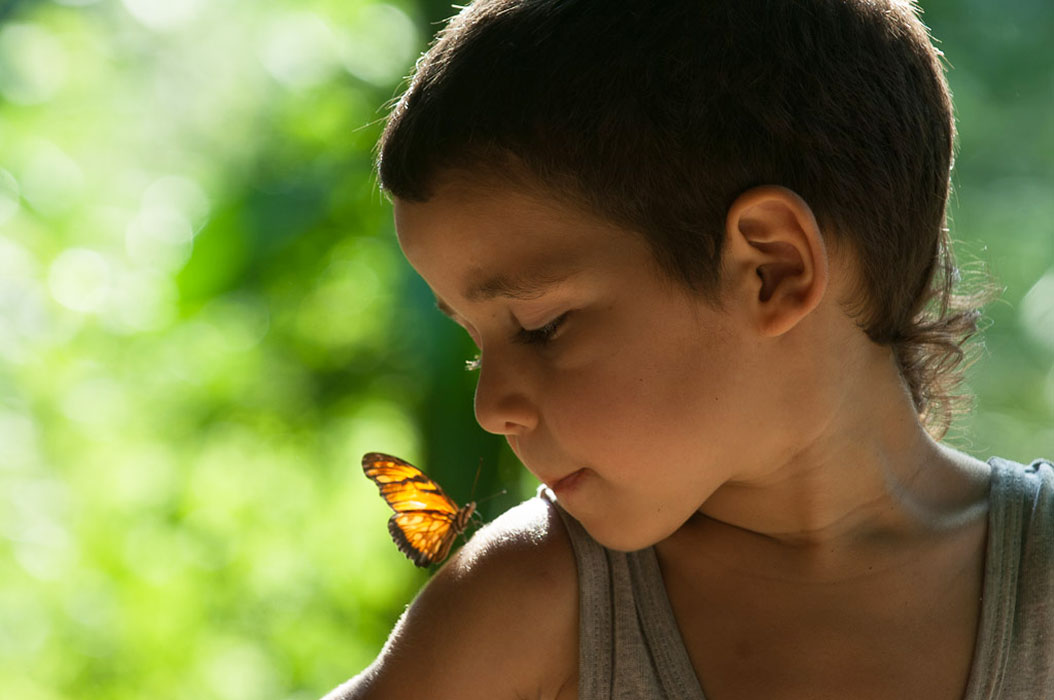 kid-with-a-butterflie