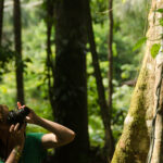 Guided forest experience at Private Rainforest Refuge