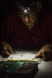 Identification of observed birds.