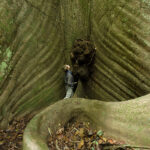 Guided nature walk through pristine Amazon rainforest near the Private Refuge Lodge.