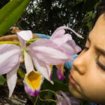 Nature activities at Private Rainforest Refuge in the Brazilian Amazon