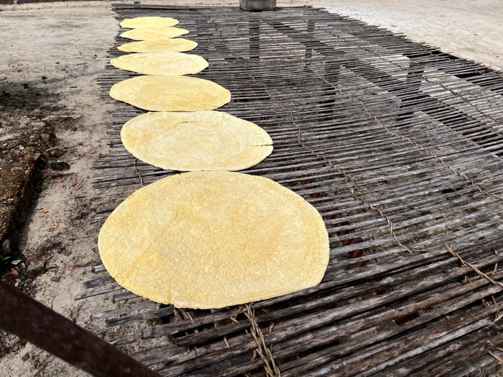 Imersão Cultural Indígena