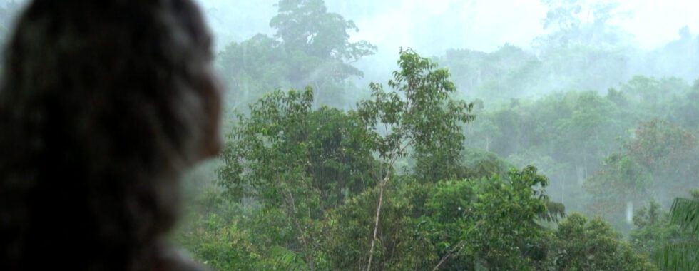 Evening atmosphere at Private Rainforest Refuge