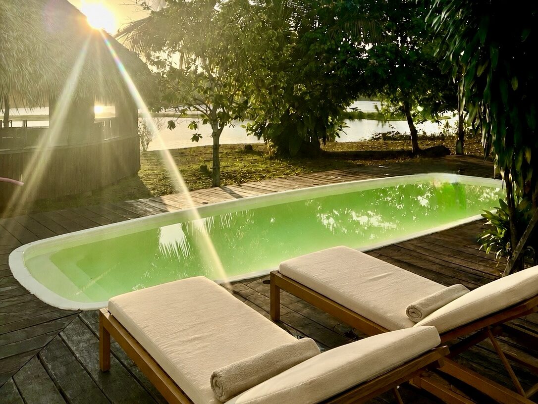 Swimming pool overlooking the Amazon rainforest